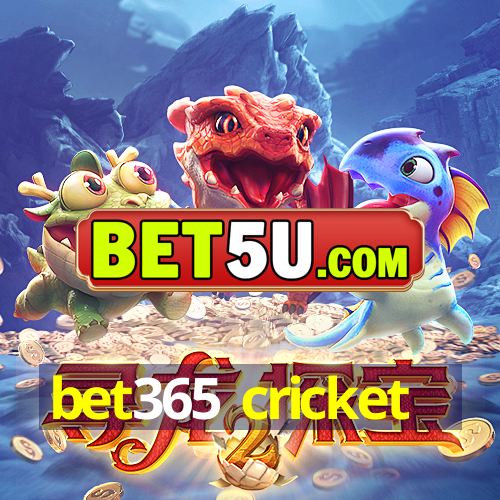 bet365 cricket